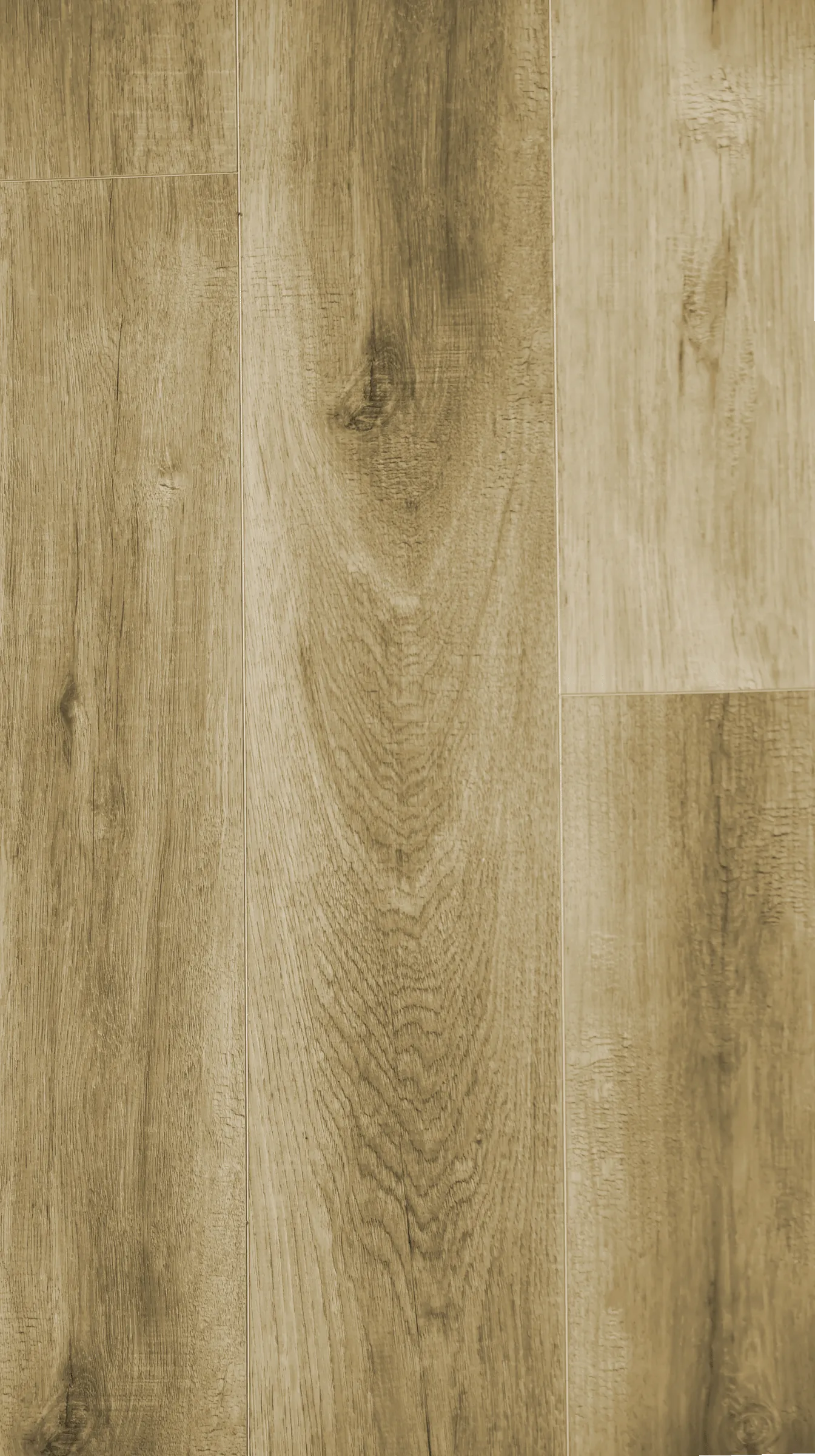 Trend — Detalle