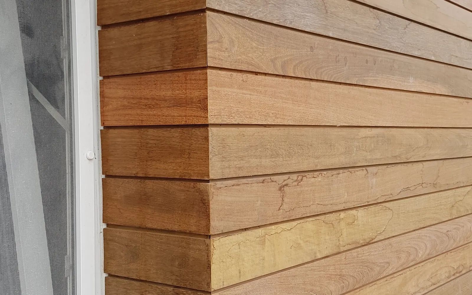 Lapacho, Kiri y Roble — Detalle